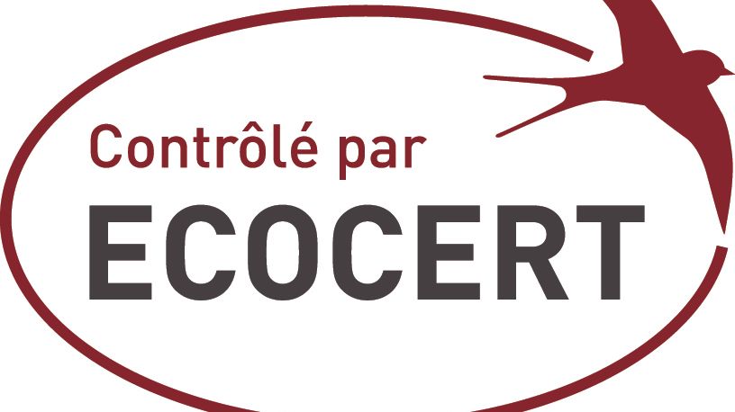 Comment obtenir la certification bio pour des produits cosmétiques en Afrique ? Le cas d'Ecocert