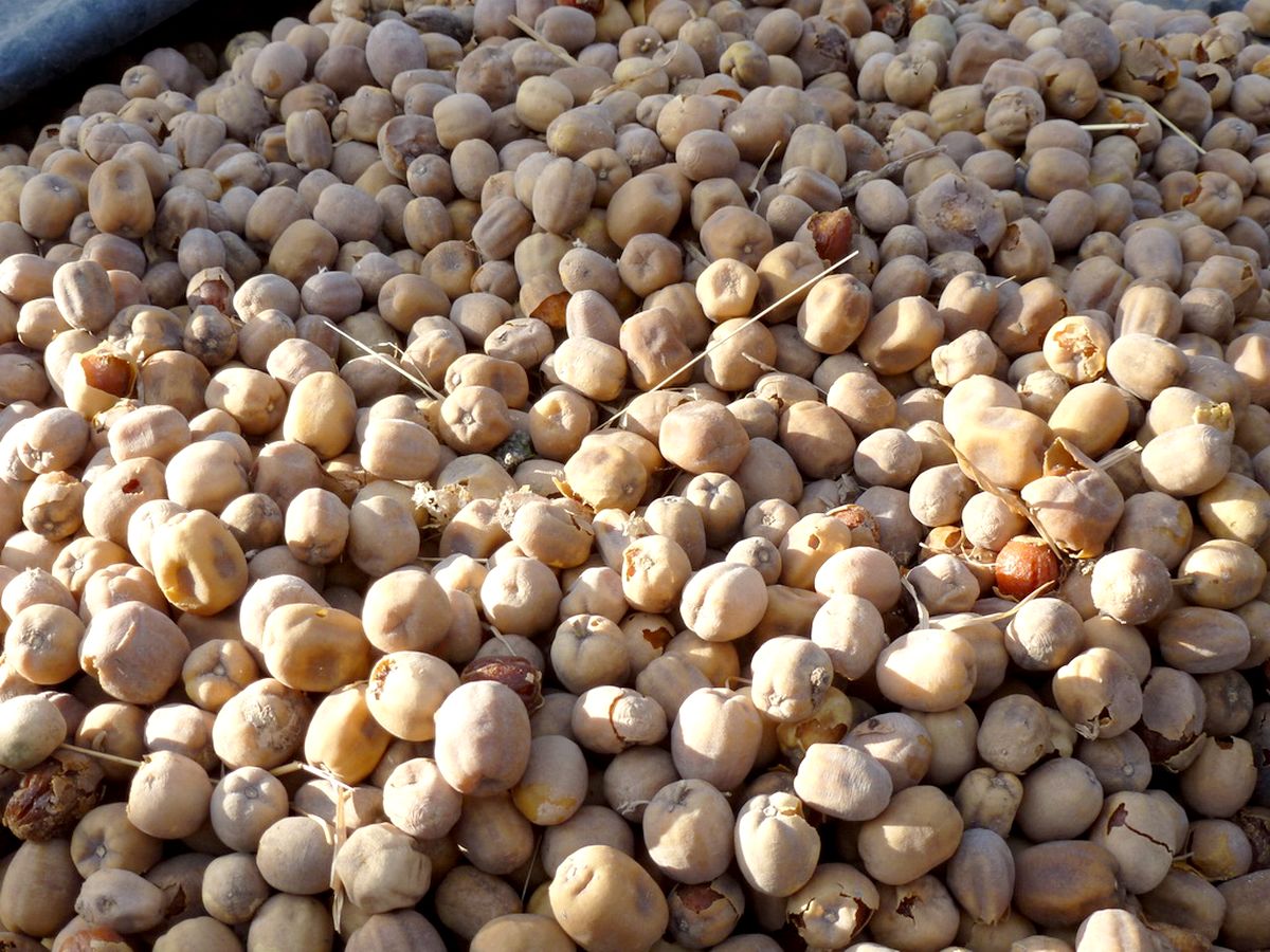 Légumes et fruits d'Afrique pour une belle peau