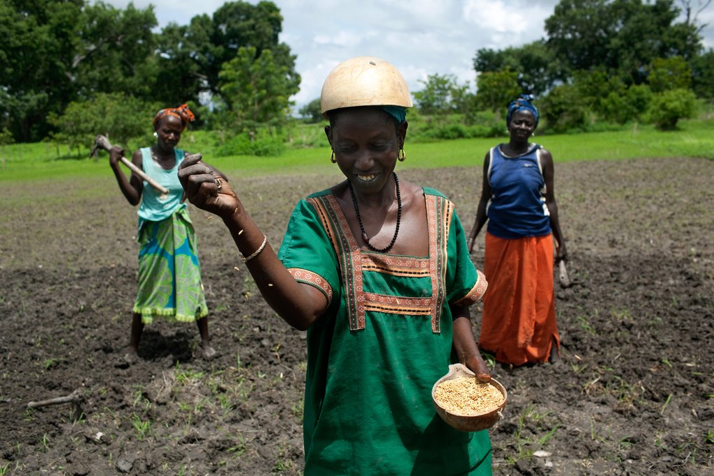 Comment les marques de cosmétiques africaines allient-elles beauté et écologie ?