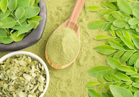 Le moringa : l’ingrédient beauté star du moment