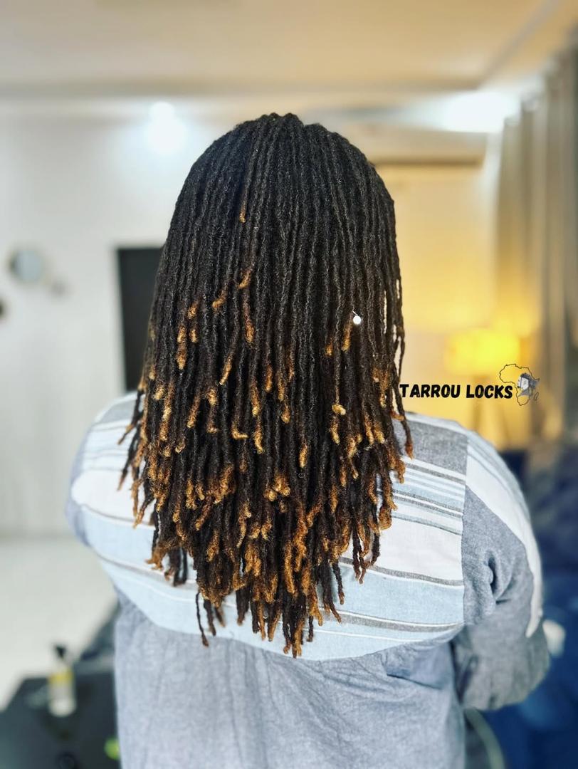 tarrou-locks-dakar-microlocks-setalmaa